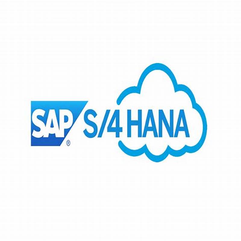 SAP S/4 HANA  PUBLIC CLOUD